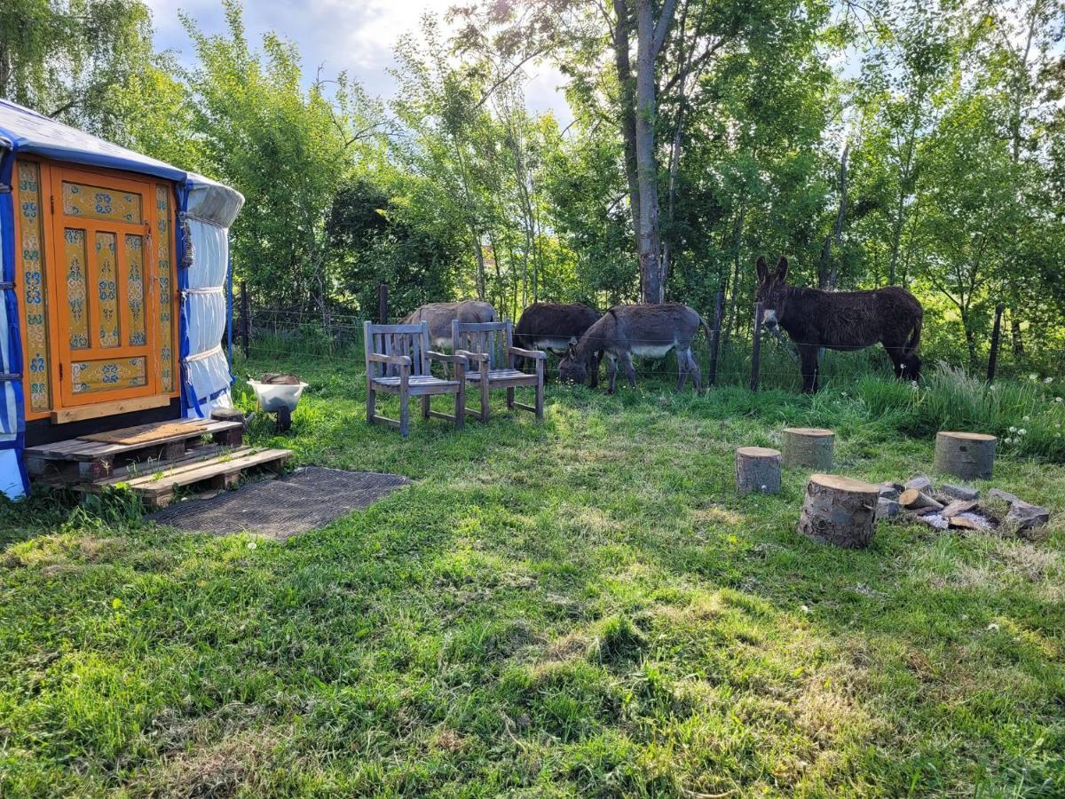 Slapen tussen de ezels in de Yurt Hotel Aarschot Buitenkant foto