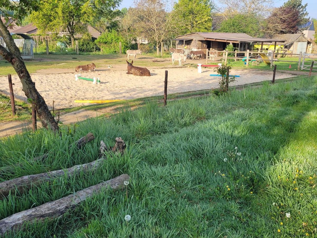 Slapen tussen de ezels in de Yurt Hotel Aarschot Buitenkant foto
