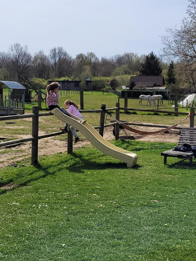 Slapen tussen de ezels in de Yurt Hotel Aarschot Buitenkant foto