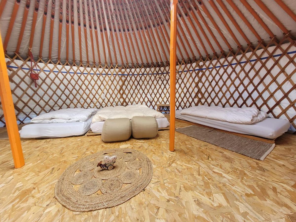 Slapen tussen de ezels in de Yurt Hotel Aarschot Buitenkant foto