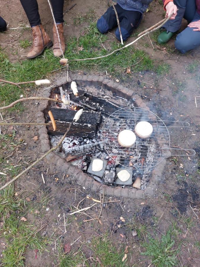 Slapen tussen de ezels in de Yurt Hotel Aarschot Buitenkant foto